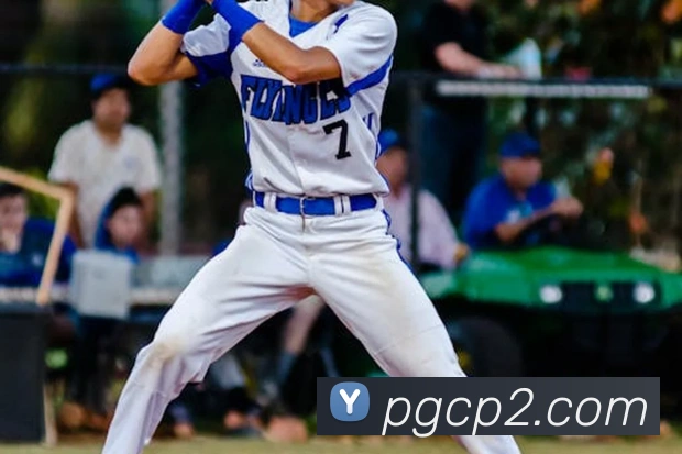 pgAPP 高清赛事图